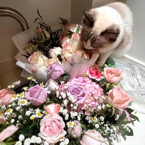 亚洲尿pisssex撒尿
