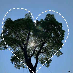 亚洲尿pisssex撒尿
